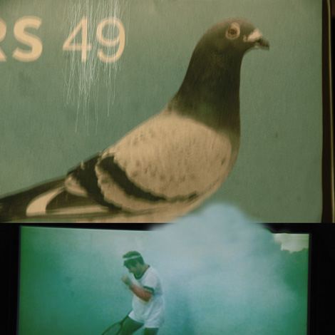 49