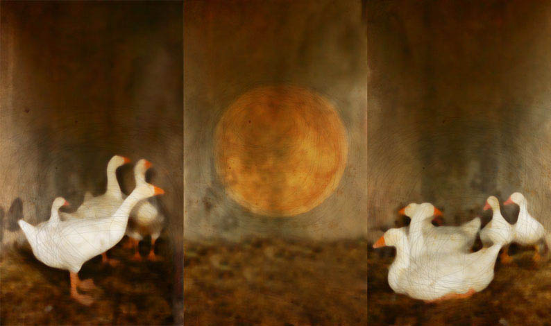 trittico