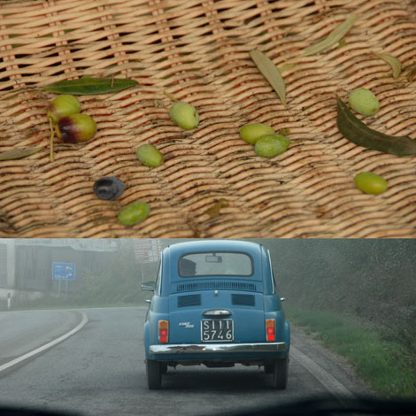 olive